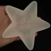 10cm Bowl Star Selenite